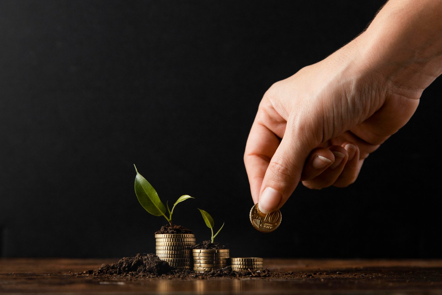 Mutual Funds SIP Investment